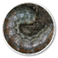 Oval