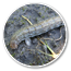 Oval