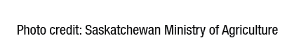 Photo credit: Saskatchewan Ministry of Agriculture
