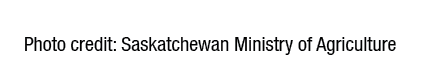 Photo credit: Saskatchewan Ministry of Agriculture