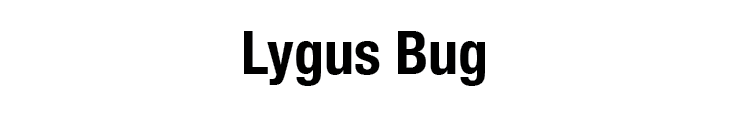 Lygus Bug
